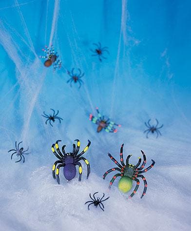 Rubber Spiders with Spider Web Ct 10