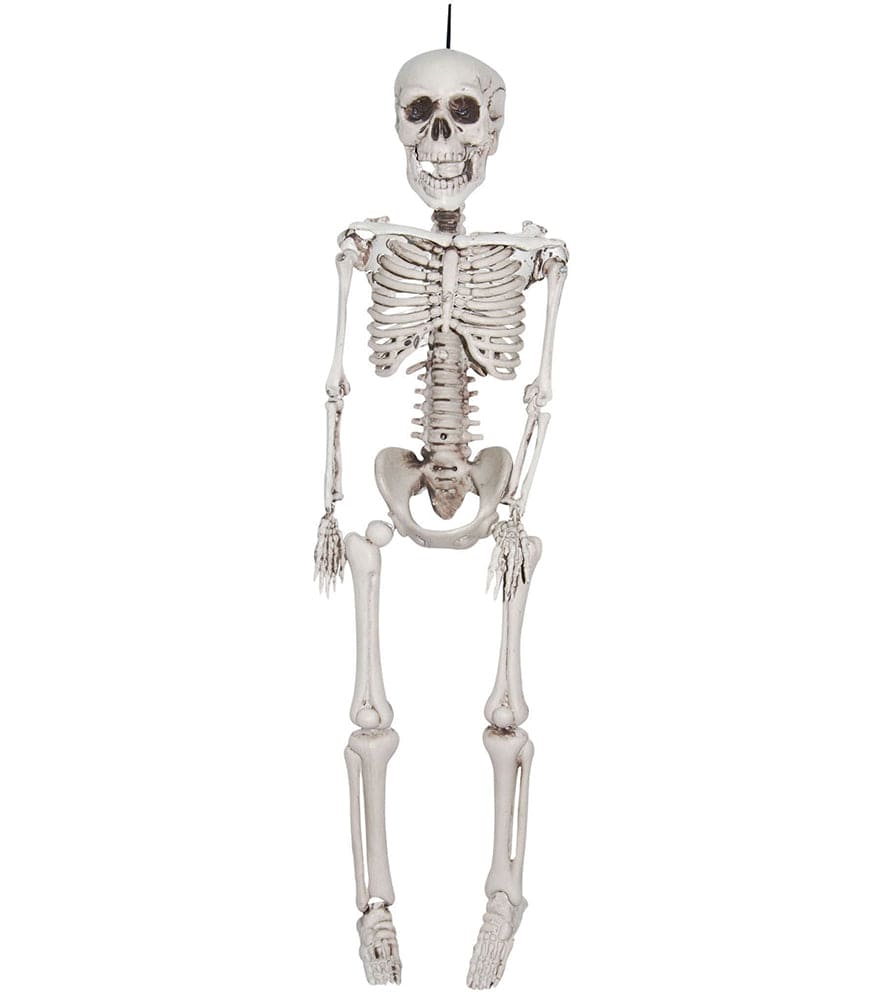 Realistic 20in Skeleton