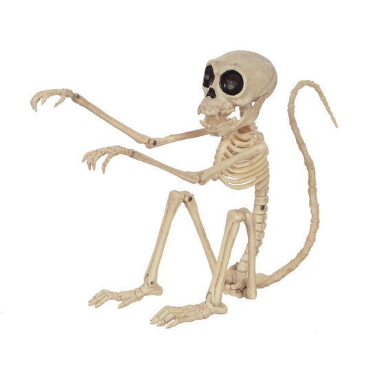 Monkey 7.5 Skeleton