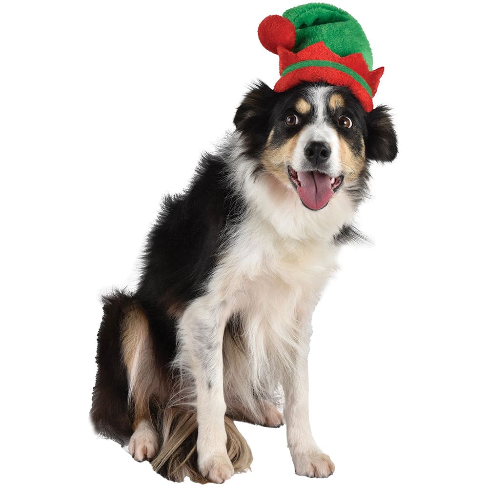 Elf Pet Hat