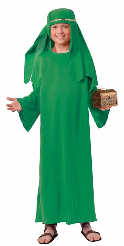 Biblical Times Wiseman Green Child Costume