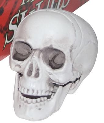 4in Tabletop Skull