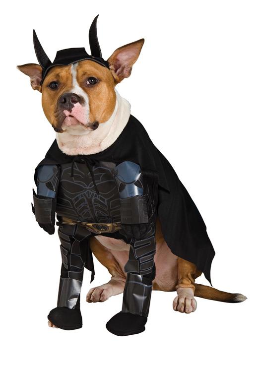 Dark Knight Batman Pet Costume