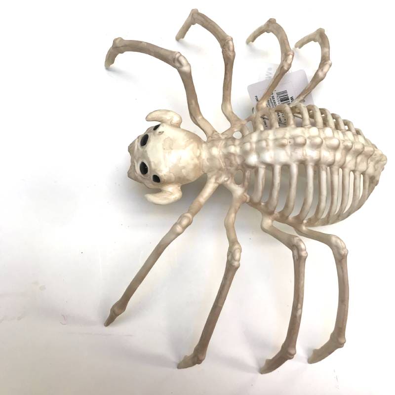 14" Skeleton Spider