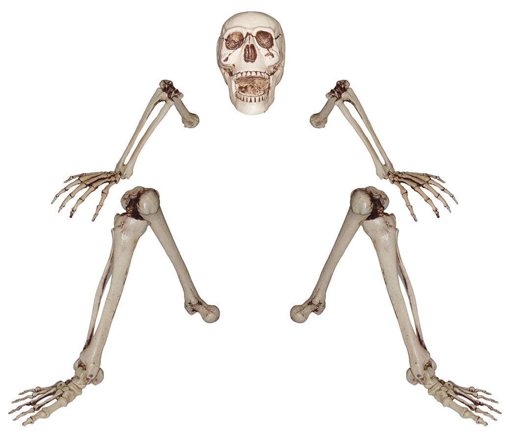 Ground Breaking Skeleton