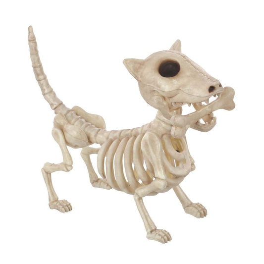 Digger the Skeleton Dog with Bone 11in