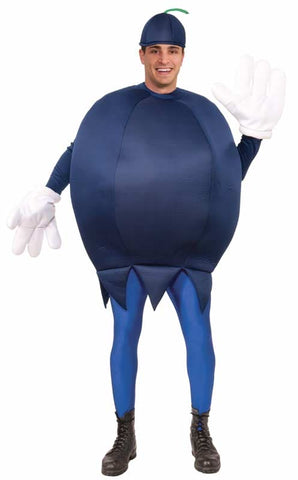 Blueberry Unisex Adult Costume
